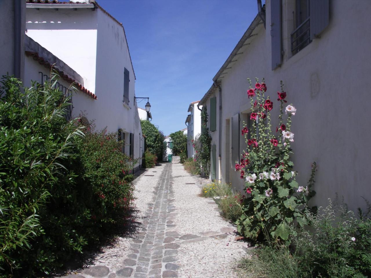Appartement Liseron Saint-Martin-de-Ré Eksteriør bilde